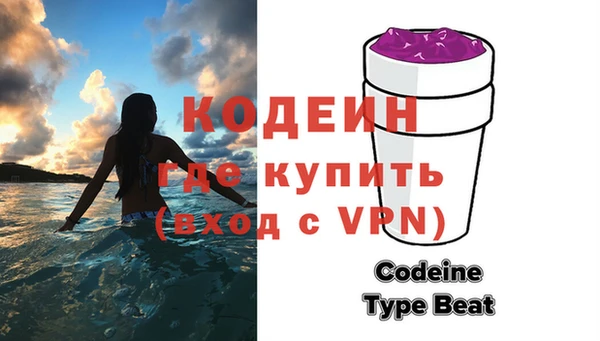 крисы Мегион