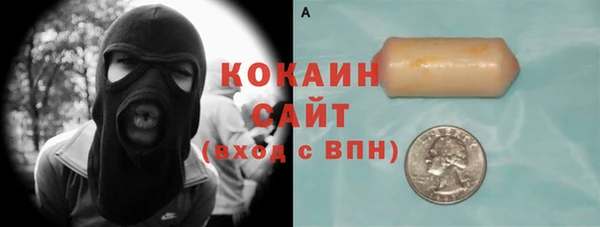 индика Апатиты