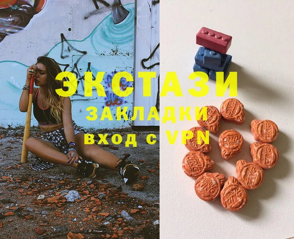 крисы Мегион