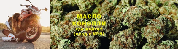 крисы Мегион