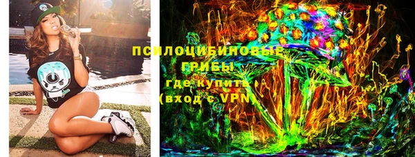 крисы Мегион