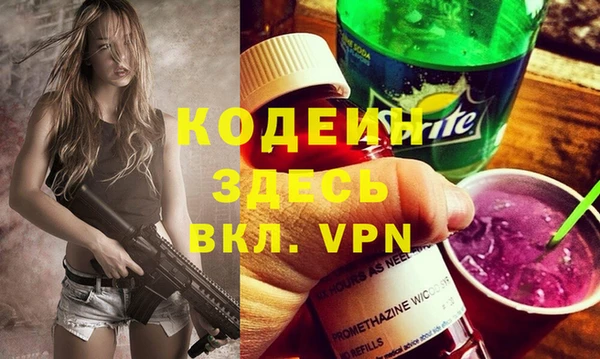 крисы Мегион