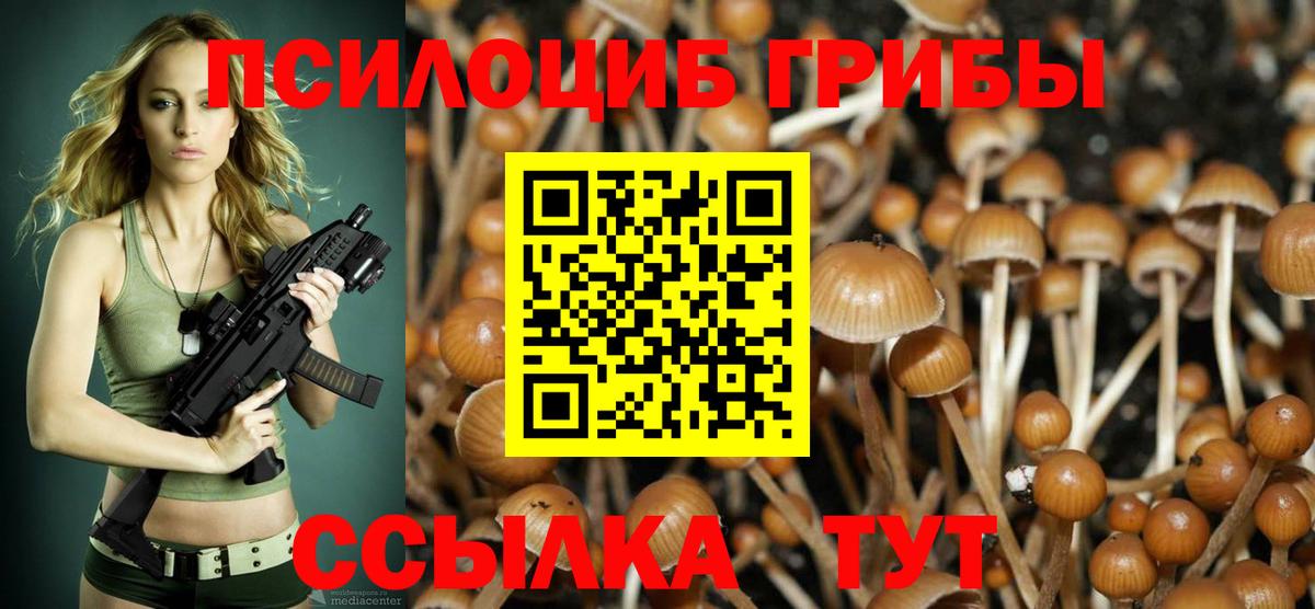 Псилоцибиновые грибы MAGIC MUSHROOMS  Галлюциногенные грибы GOLDEN TEACHER  Вход с VPN  купить закладку  Миллерово 